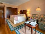 Standard Double room with balcony and with garden view