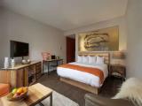 Premier Double room with city view