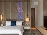 1 Bedroom Double Villa with pool view