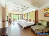 Standard Twin room with balcony and with mountain view