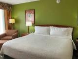 Double Family Suite
