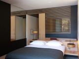 Deluxe Plunge Pool room