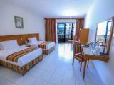 Standard Double room with pool view