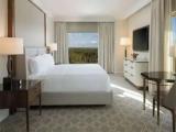 Luxury Accessible Double Suite