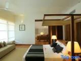 Presidential Single Suite