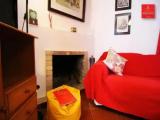 1 Bedroom Standard Apartment