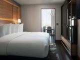 1 Bedroom Double Suite with mountain view