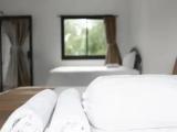 Standard Quadruple room with garden view