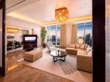 Presidential Double Club Suite