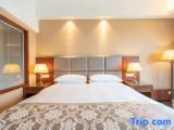 Standard Double room with city view