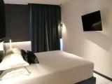 Double Basement Junior Suite