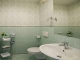 Premium Double room with park view