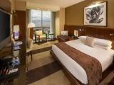 Premier Double room with mountain view