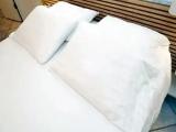 1 Bedroom Family Suite