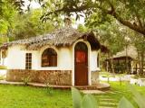 Bungalow with garden view