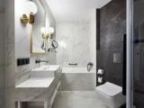 1 Bedroom Suite with city view