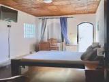 Standard Double room with garden view
