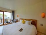 Deluxe Double room with garden view