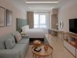 Double Studio Suite
