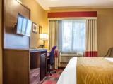 1 Bedroom Suite