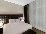 Premier Double Suite with city view