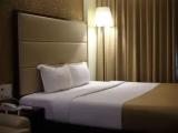 1 Bedroom Premium Suite with city view