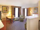 Deluxe Executive Double Suite