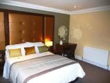 Premier Suite