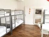 Bed in Dorm