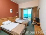 Standard Double room with balcony and with sea view