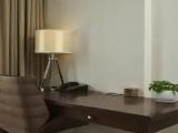 Standard Double room with city view