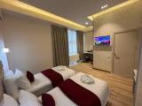 Deluxe Double room with city view