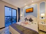 Deluxe Double room with balcony and with pool view