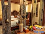 Standard Double room with garden view