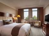 Deluxe Double Suite