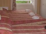 Standard Triple Suite