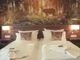 Deluxe Single room with mountain view