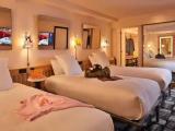 Large Triple room