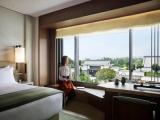 Standard Single room with garden view