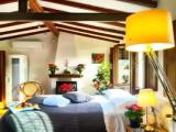 Standard Double Attic room with river view