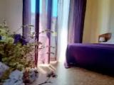 Standard room with balcony