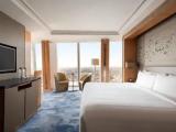 Premier Double room with city view