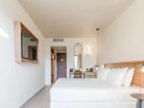 Premium Double room with garden view