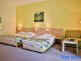 Standard Triple room with park view