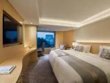 Standard Double room with city view