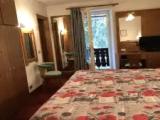 Standard Double room with balcony and with garden view