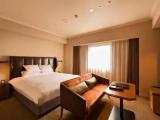 Deluxe A Type Double room
