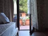 Suite with garden view