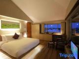 Superior room with city view