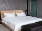 Premium Suite
